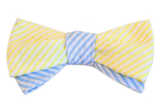 The Elliot Smith Bow Tie