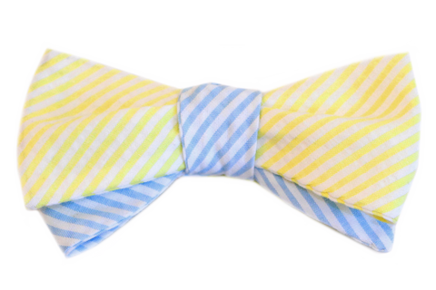 The Elliot Smith Bow Tie