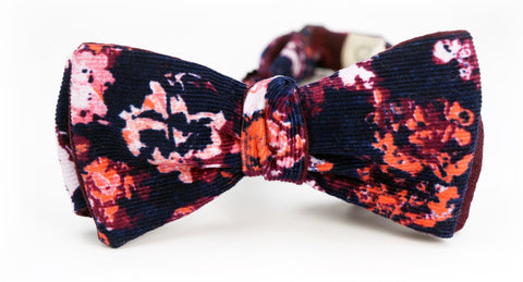 The Dali Bowtie