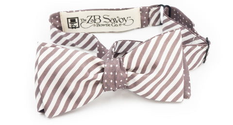 The Gray Slate Stripe and Polka Dot Silk Reversible Bow Tie