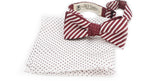 The Plum Polka Dot Silk Reversible Bow Tie and Pocket Square