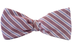 The Washington Bow Tie