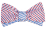 The Dixie Bow Tie