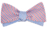 The Dixie Bow Tie